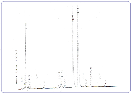 c-biblio013-15-e (31K)