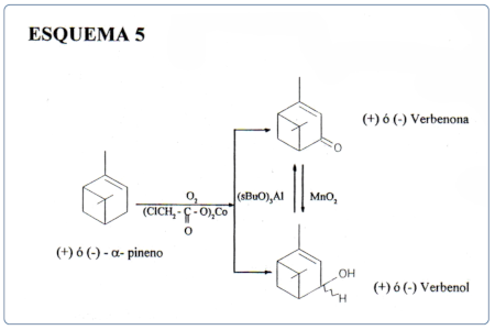 c-biblio013-19-e (38K)